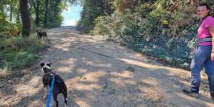 Fìdoka per Amici Animali